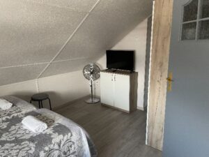 telewizor w pokoju w willi anna w gródku nad dunajcem