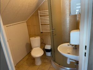 łazienka z wc w willi anna w gródku nad dunajcem