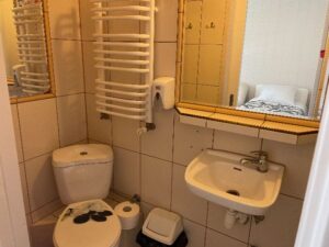 widok na wc i umywalkę w pokoju w willi anna w gródku nad dunajcem